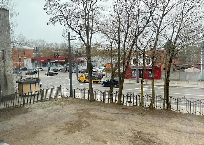 Small But With Character Apartamento Kaunas